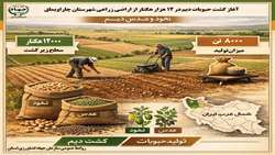 اینفوگرافی/ کشت دیم حبوبات ( نخود و عدس) در ۱۲ هزار هکتار از اراضی چاراویماق 